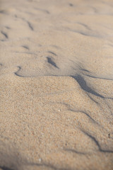 The Big Drift, Wilsons Promontory, Victoria, Australia