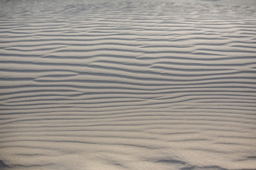The Big Drift, Wilsons Promontory, Victoria, Australia