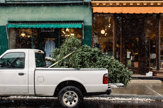 pickup truck hauling a Christmas tree in a snowy village
