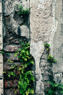 Old Wall