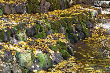 Waterfall in the woods autumn time