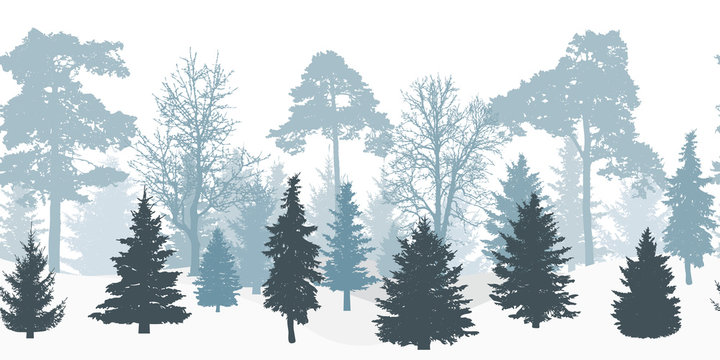 Seamless winter forest silhouette, panorama. Vector illustration.