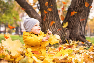 Kid play in autumn park. Leaf fall. Children throwing yellow leaves.Baby with oak and maple leaf. Fall foliage. Family outdoor fun in autumn. Toddler kid, child in fall.