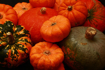 Halloween pumpkin Collection  