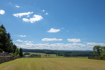 Fototapeta premium Landscape in the summer