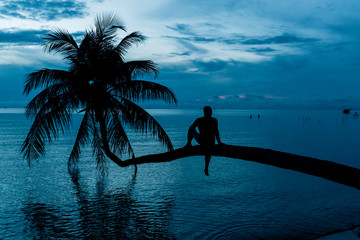 Idyllic Palm Tree at Dusk