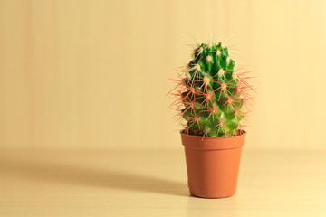 green cactus with white and red needles on beige background