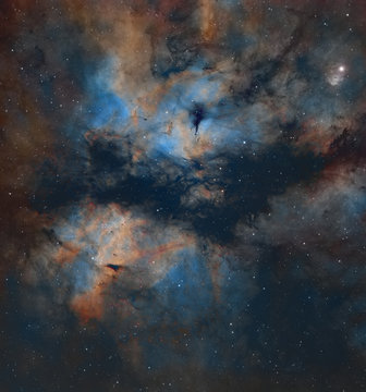IC1318 the Butterfly nebula in colour