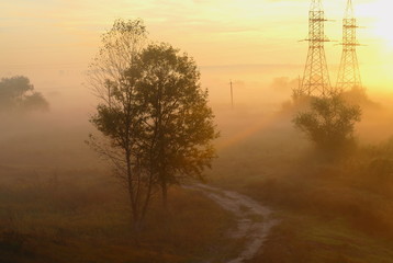 Naklejka premium Morning mist in autumn nature, orange sunrise light in background