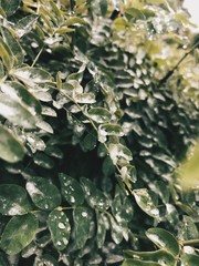 Processed with VSCO with hb2 preset