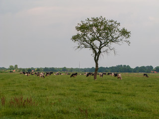 Steenwijkerland