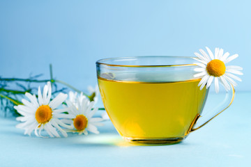 Chamomile tea and chamomile flowers on a blue background. Herbal tea