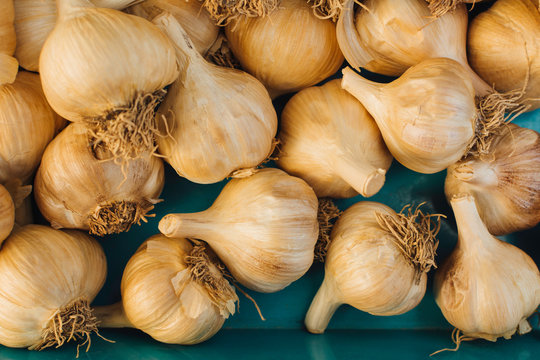 Smoked garlic bulbs