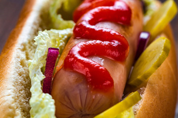 Tasty hot dog with ketchup
