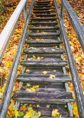 Autumn stairs