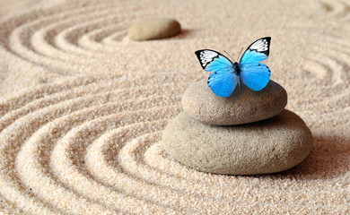 A blue vivid butterfly on a zen stone with circle patterns in the grain sand.
