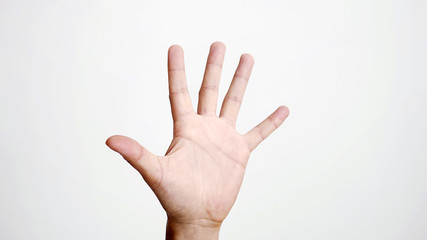 Close up of isolated female hand shows palm isolated on white background