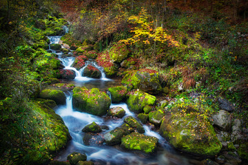 Obraz premium Colorful picturesque autumn landscape of river with small waterfalls and mossy stones