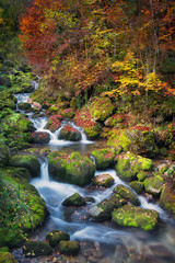Fototapeta premium Colorful picturesque autumn landscape of river with small waterfalls and mossy stones