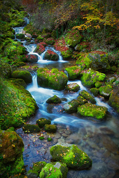 Colorful picturesque autumn landscape of river with small waterfalls and mossy stones
