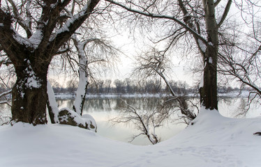 winter in the park