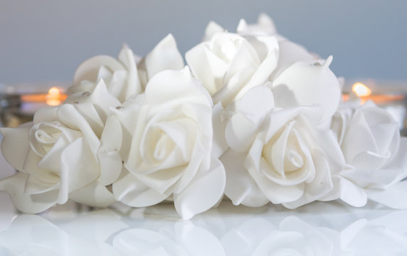 białe roze kropelki rosy © Wojciech