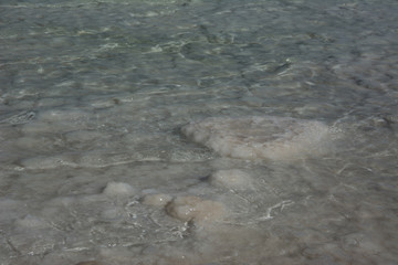 Close up view of salt crystals and mineral formation on the shore of Dead Sea in Israel, health and beauty care. Sharp surface, natural pattern