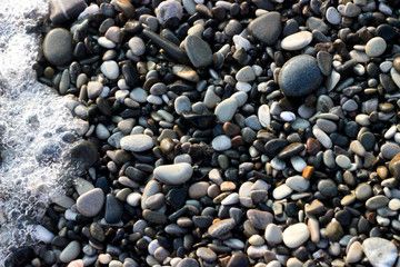 Fototapeta na wymiar sea stones, gray stones on the coast, wet rocks on the shore