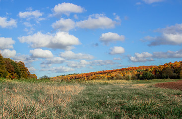 Fototapeta premium ciel d 'automne normandie