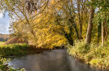 Obraz premium l’automne sur la rivière