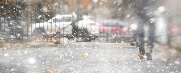 Background autumn park in the first snow