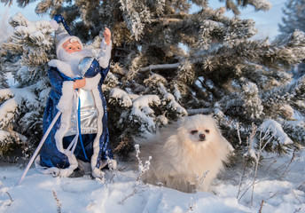 A bright and cheerful holiday - the New Year - is celebrated in most countries according to the...