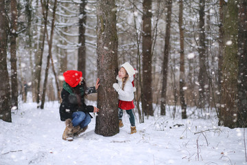 Fototapeta na wymiar A winter fairy tale in the forest.
