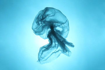 Plastic trash in the oceans of the planet. Ocean blue jellyfish from a plastic bag. The destruction of the ecosystem. © Andrii Zastrozhnov