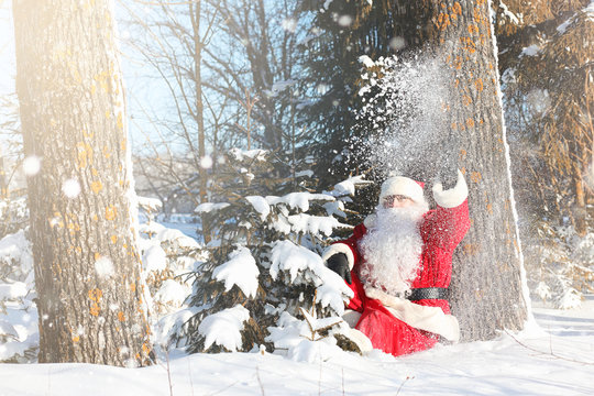 Santa Claus comes with gifts from the outdoor. Santa in a red suit with a beard and wearing glasses is walking along the road to Christmas. Father Christmas brings gifts to children.