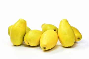 白背景のカリン