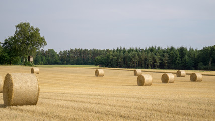 Fototapeta premium Strohballen
