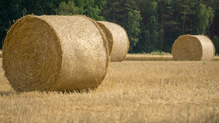 Strohballen