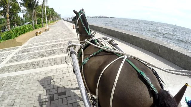 Coaching Horse cart moving on seaside walkway. Hand held camera