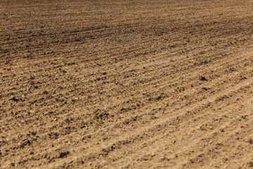 Freshly ploughed field, lines from plow visible in ground. Abstract agriculture background.