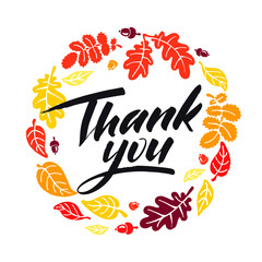 Obraz premium Thank you vector typography illustration for greeting card, calendar, magazine, invitation, banner, poster. Autumn graphic design element. Handwritten brush lettering illustration. EPS 10. 