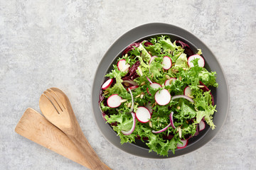 Radicchio, Endive and Radish Salad
