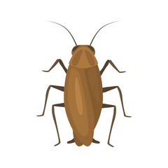 Cockroach insect color vector icon. Flat design