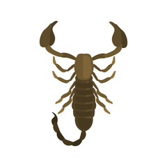 Scorpion color vector icon. Flat design