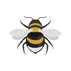 Bumblebee color vector icon. Flat design