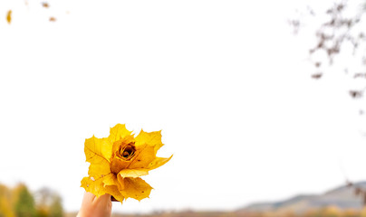 Handmade Flower of Autumn Leaves