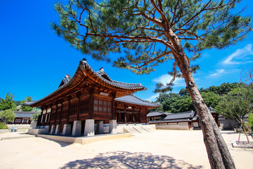 Korean palace in seoul with tree