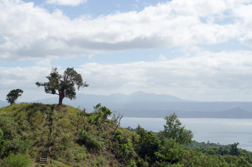 Sole Tree on Hilltop Overlooking Lake and Volcano