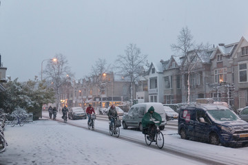 Snow in town