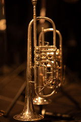 Trompete